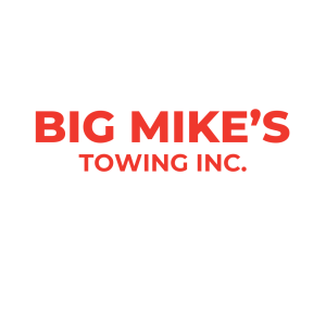 Big Mikes